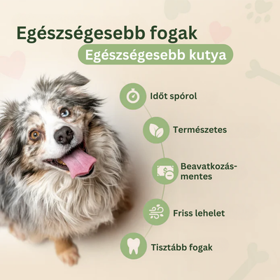 DentaGuard™ Vízadalék