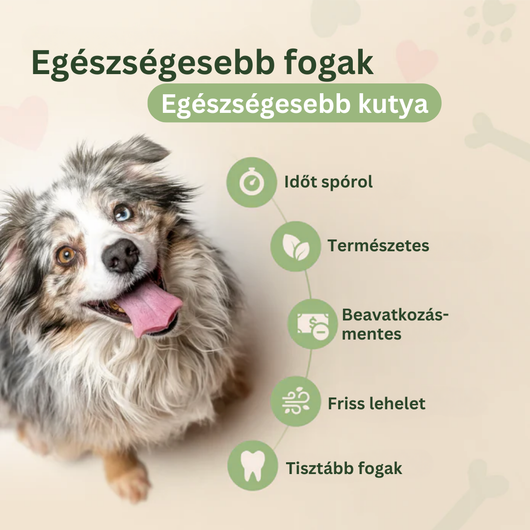 DentaGuard™ Vízadalék